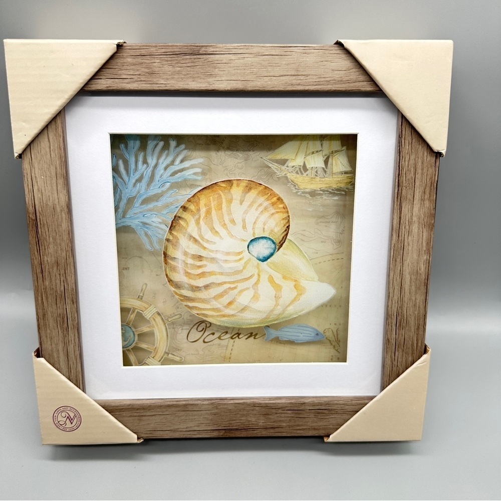 π NWT Sea Shell Wall Art with Wooden Frame